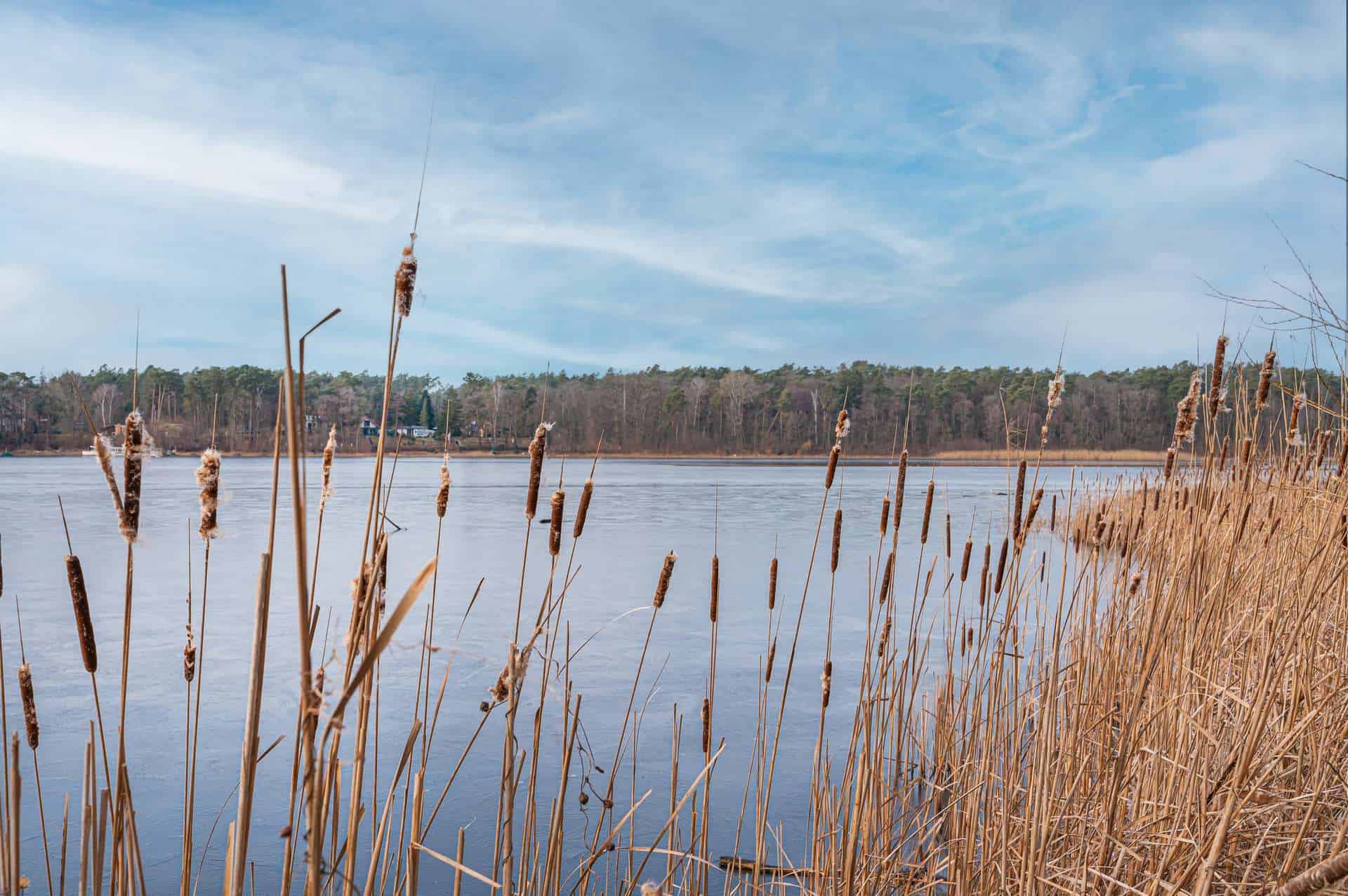 Umgebung See